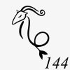 Motiv 144