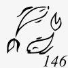 Motiv 146