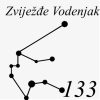 Motiv 133